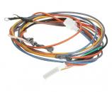 ICV-WIRE HARNESS FOR HOT SURFACE INGITIO